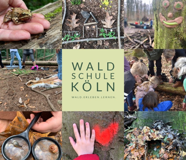 EIn Bild des Lernorts Waldschule Köln
