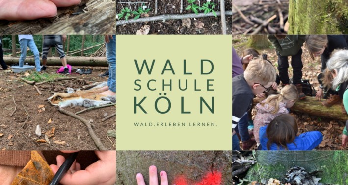 EIn Bild des Lernorts Waldschule Köln