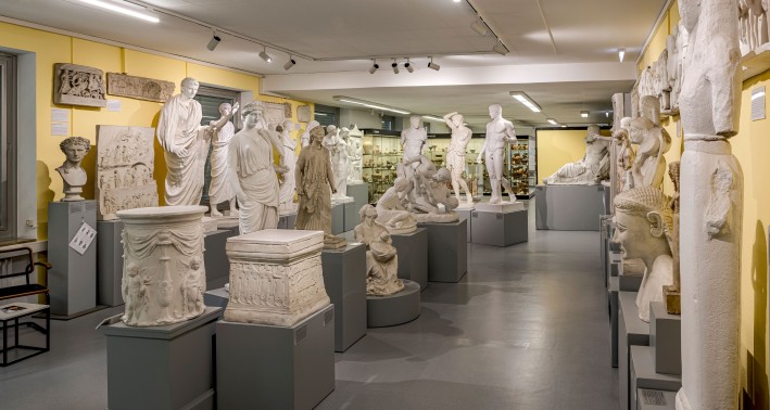 Blick in das Akademische Kunstmuseum mit Abguss- und Originalsammlung