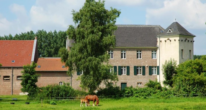 Haus Buergel mit Kaltblutpferden im Vordergrund