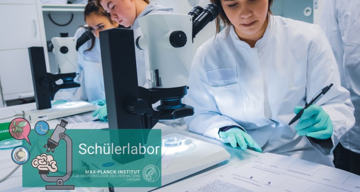 Hands-on im Schülerlabor am MPINB