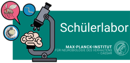 Logo von Schülerlabor am Max-Planck-Institut für Neurobiologie des Verhaltens – caesar