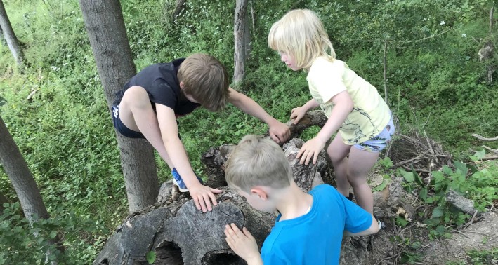 Kindern die auf einem Baumstamm klettern