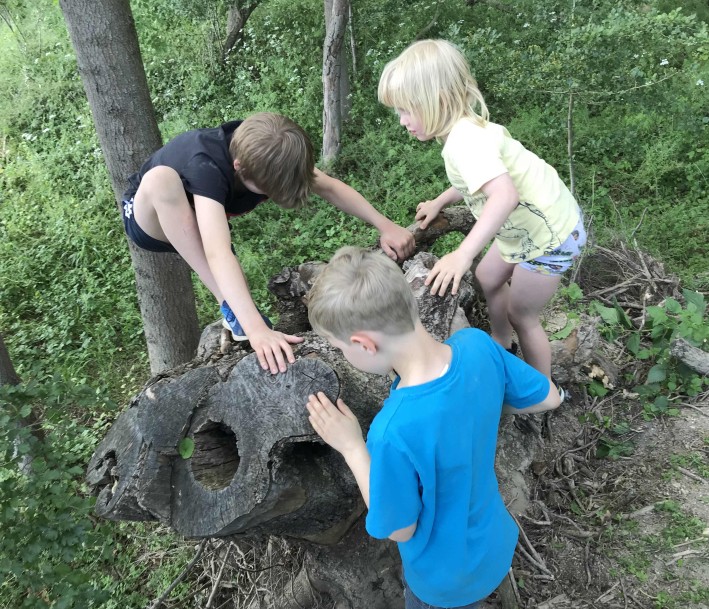 Kindern die auf einem Baumstamm klettern