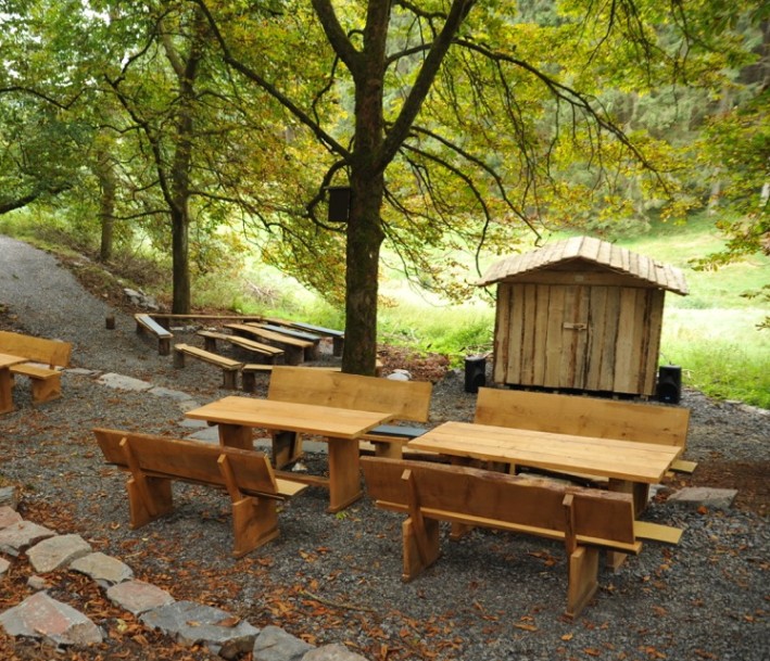 Sitzgelegenheiten in grüner Waldumgebung