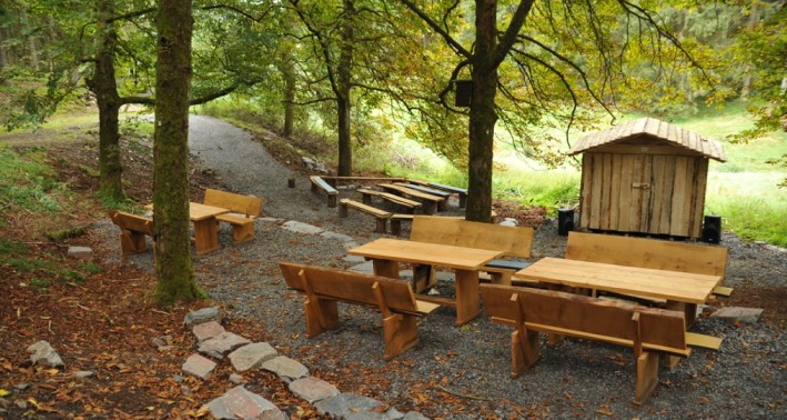 Sitzgelegenheiten in grüner Waldumgebung