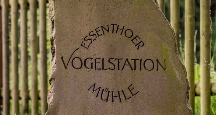 Essenthoer Mühle