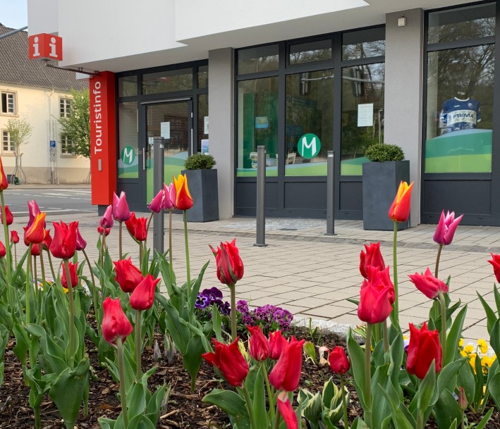 Blumenbeet vor dem Naturpark Infozentrum