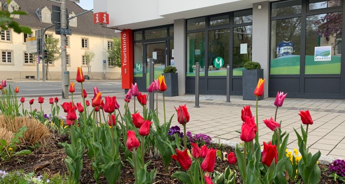 Blumenbeet vor dem Naturpark Infozentrum