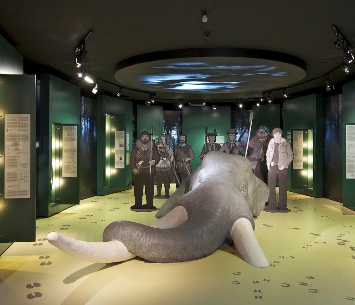 Blick in den Lernort Museum zur Geschichte derJagd