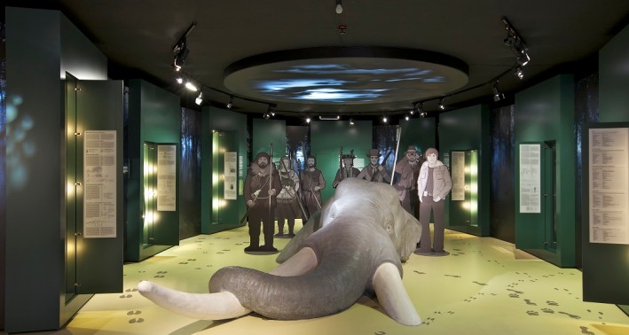 Blick in das Museum zur Geschichte derJagd