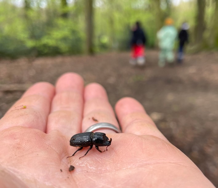 Lernort Natur - Hand mit Käfer