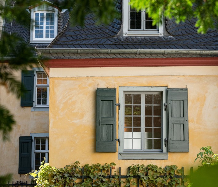 Fensteransicht des Lernorts Beethoven-Haus Bonn mit Weinreben