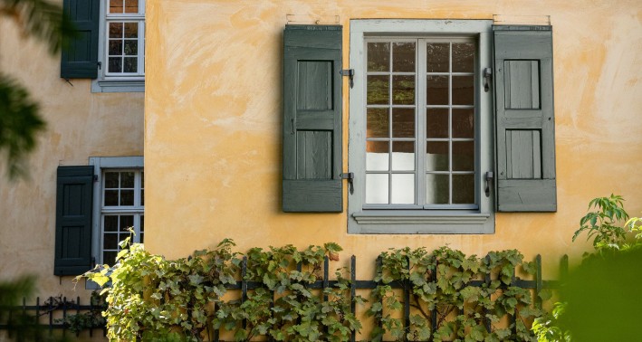 Fensteransicht eines Hauses mit Weinreben