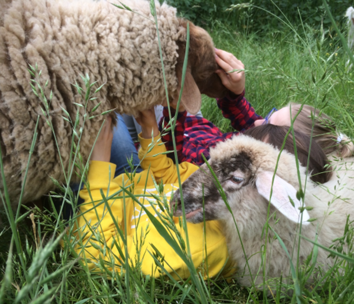 Schafe und Kinder