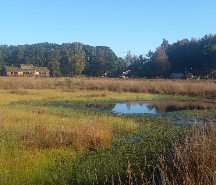 Mitten im Moor -das Naturschutz-und Informationszentrum Goldenstedt