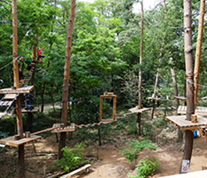 Foto: Kletterwald Niederrhein