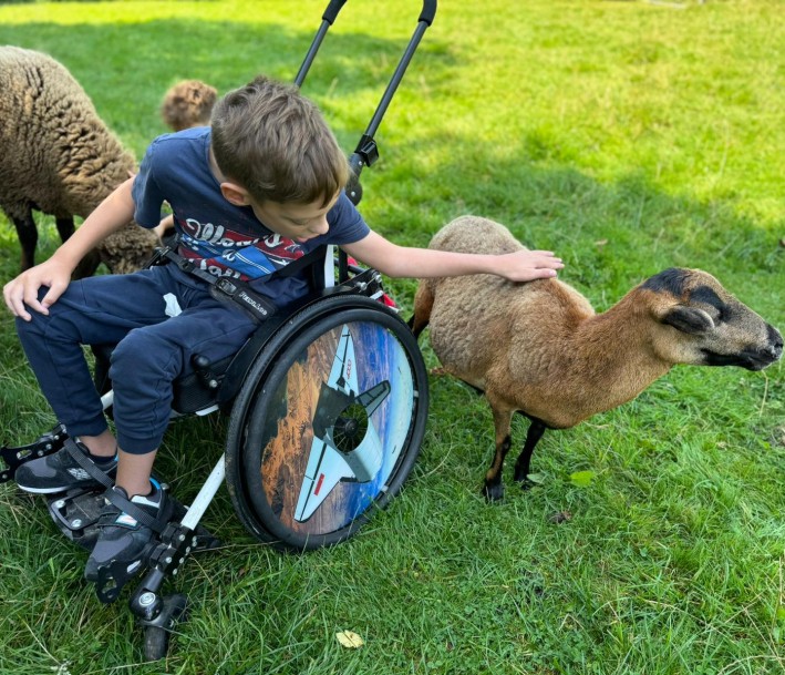 Ein Kind im Rollstuhl genießt die Entspannungszeit mit Schafen und anderen Tieren
