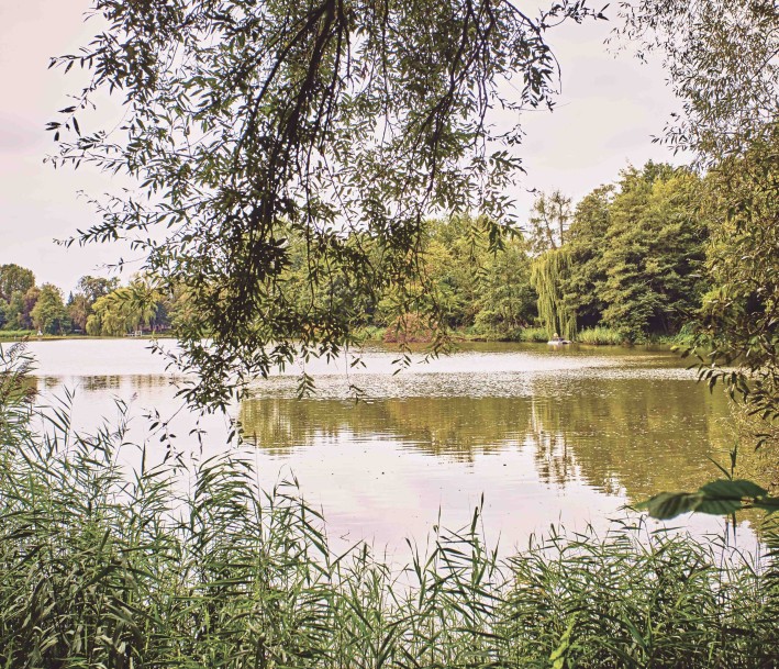ein Blick auf den See des Lernorts Jugendherberge Cappenberger See