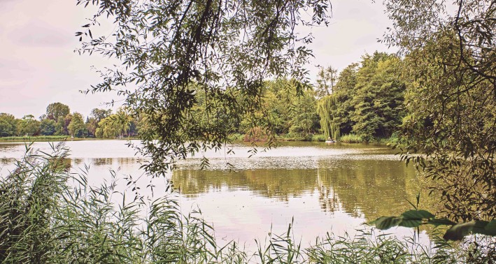 ein Blick auf den See des Lernorts Jugendherberge Cappenberger See
