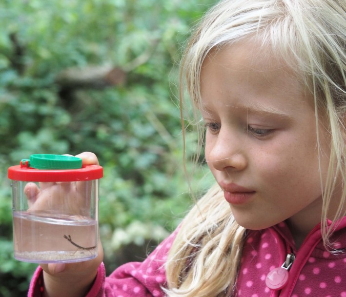 Ein Kinder experimentiert am Mutzbach, einem Lernort der Wasserschule Köln.