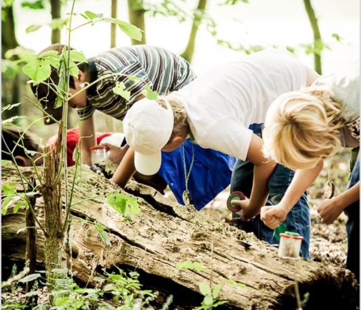 Querwaldein e.V. Drei Kinder erforschen Totholz im Wald mit Querwaldein e. V.
