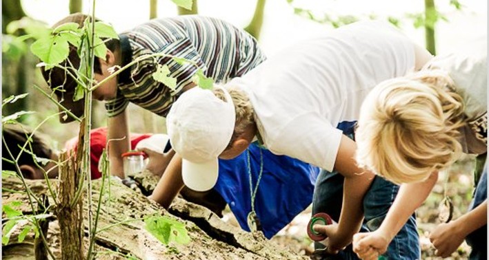 Drei Kinder erforschen Totholz im Wald mit Querwaldein e. V.