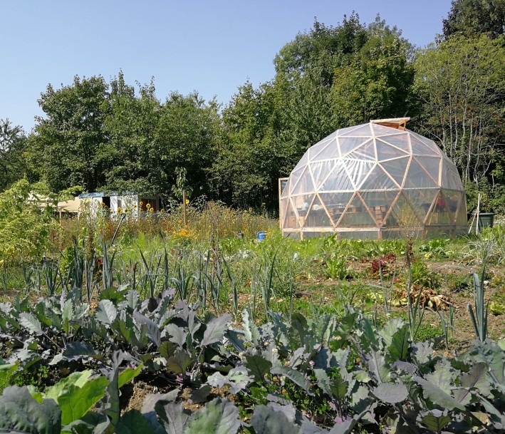 Lernort Wuppertaler Weltacker mit Gemüsepflanzen und einem Gewächshaus im Hintergrund