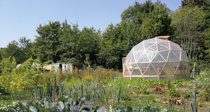 Lernort Wuppertaler Weltacker mit Gemüsepflanzen und einem Gewächshaus im Hintergrund