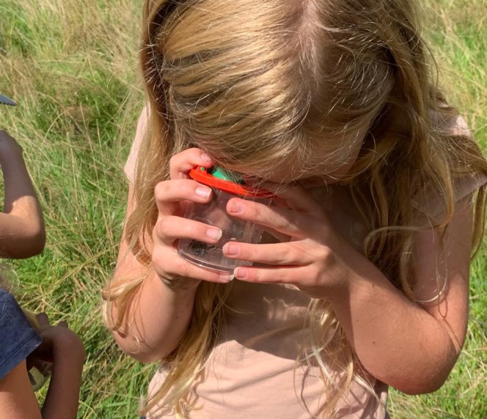 Exkursion in die Naturschutzflächen der Hofschäferei mit Bestimmung von Pflanzen und Insekten