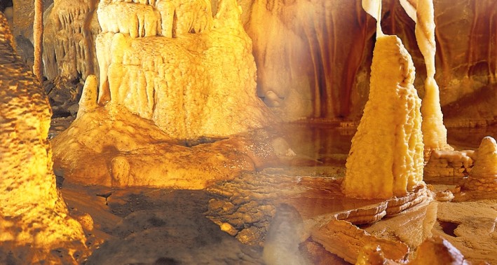 Ein Einblick in den Lernort Atta Höhle