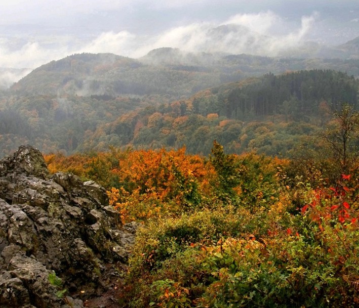 Blick vom Ölberg des Lernorts Naturpark Siebengebirge