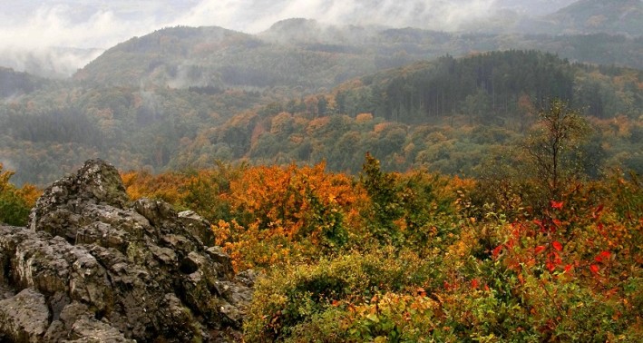 Blick vom Ölberg des Lernorts Naturpark Siebengebirge
