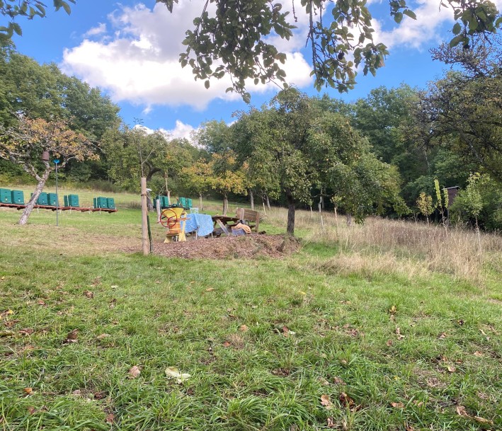 Der Lernort Streuobstwiese in Siegen-Trupbach