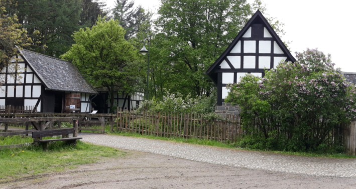 Fachwerkhaus mit Rosenbusch im Museumsdorf Altwindeck