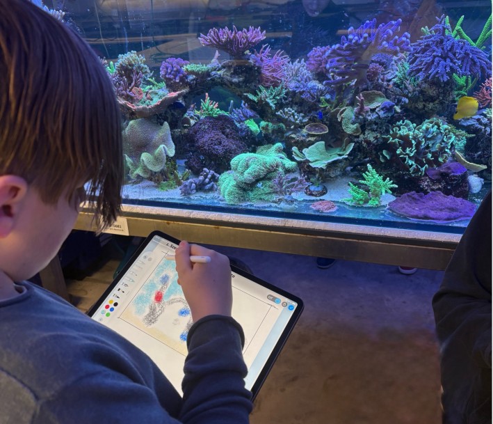 Ein*e Schüler*in arbeitet am iPAd direkt vor dem Aquarium des Lernorts Kolumbus-Kids 