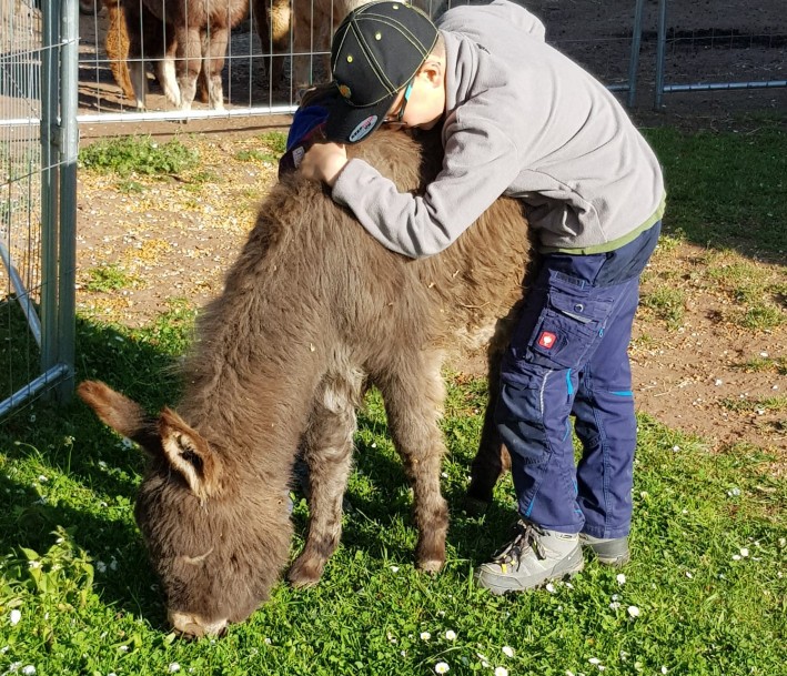 Ein Kind und ein Esel im tierischen Klassenzimmer des Luisenhofs