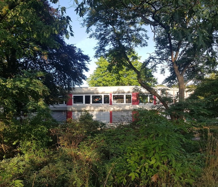 Blick durch den Wald auf das Bibliotheksgebäude
