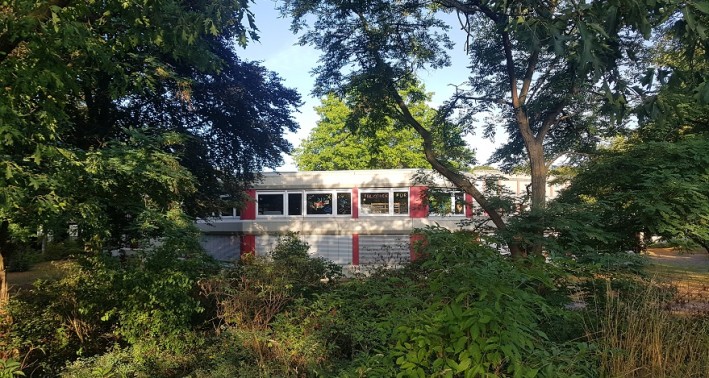 Blick durch den Wald auf das Bibliotheksgebäude