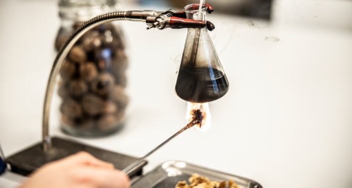 Experiment, bei dem mit Hilfe einer brennenden Walnuss Wasser erhitzt wird, dass sich in einem Erlenmeyerkolben befindet.